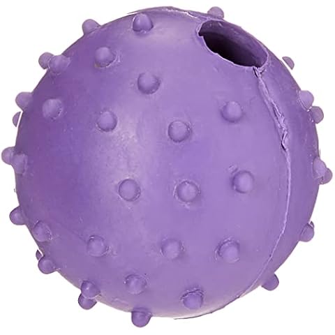 Classic Rubber Pimple Ball for Dogs Cover