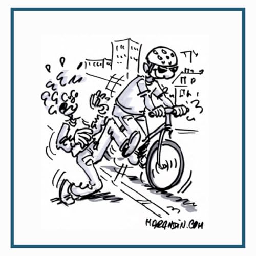 La place du v&eacute;lo aujourd&rsquo;hui