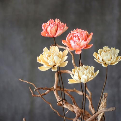 Ramillete Natural de Flores Secas Healeved 2 unidades miniatura 7