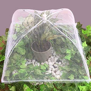 (6 Pack) Omont Pop-Up Food Cover Tents, 17 Inch X17 Inch Food Mesh Cover, Reusable And Collapsible Outdoor Picnic Food Cover Net,Suit For Parties Picnics,Bbqs #TOP3