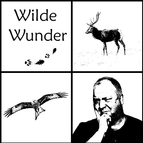 『Wilde Wunder』のカバーアート