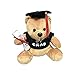 Peluche Oso De Graduación Peluche De Peluche Oso De Peluche Con Gorra Negra Regalos De Graduación Para Ella Él 20cm