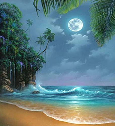 Peinture au diamant 5D eau de lune broderie diamant complet 30x40 cm