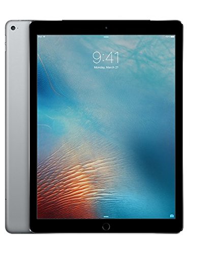 Apple iPad Pro 12.9-inch Wi-Fi 256GB Space Gray (ML0T2HN/A 