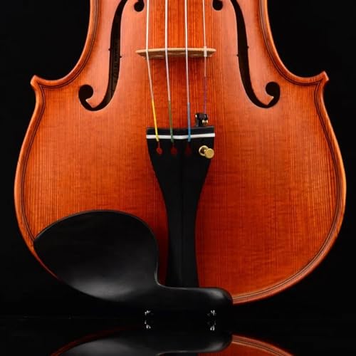 Professional Violin European Workshop Violin Warm Brown Color Mountains Tonewood Ebony Accessories - Image 5