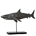 FSFF Statuetta di Grande squalo Bianco Giocattolo di Simulazione Modello Animale Realistico Sea Safari Animali Action Figures Artigianato in Resina per la Decorazione Domestica Regalo educativo
