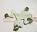 Handmade Realistic Green Frog Fused Glass Extra Large Garden Ornament Figurine