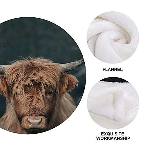 Asyourwish Ultra Soft Flannel Brown Cow Throw Blanket Highland Cattle Landscape Rustic Farmhouse All Season Warm Lightweight Cozy Plush Bed Blankets For Living Room/Bedroom 40 X 50 Inches #TOP2