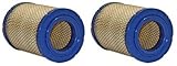 WIX Air Filter (Pack of 2)