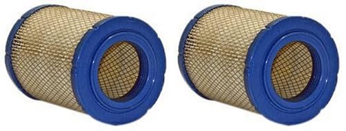 WIX Air Filter (Pack of 2)