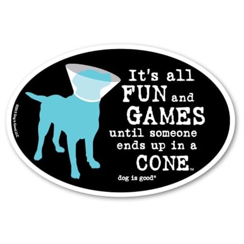 Dog is Good Oval Car Magnet It's All Fun and Games Until Someone Ends up in a Cone - Great Gift for Dog Lovers, 4x6 Inches Cover