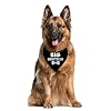Big Brother Dog Bandana, Dog Pregnancy Announcement, Gift for Dog Lover, Dog Bandana for Small Medium Large Dogs, Black Dog Bandana, Big Brother Dog Shirt, Dog Scarf (A7)