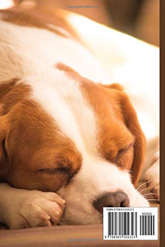 Beaglier Dog Notebook For Dog Lovers: Composition Notebook 6x9" Blank Lined Journal - Image 2