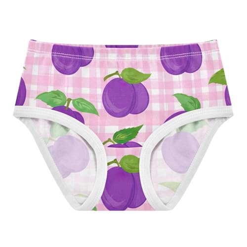 Toddler Underwear Floral 2t Cotton Girl Panties Cute Pattern Underpants Briefs Cartoon Purple Plums Pink Gingham