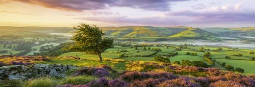 Puzzle de 1000 piezas panorámico Heye Purple Bloom HY30017 rompecabezas AvH de paisajes 3