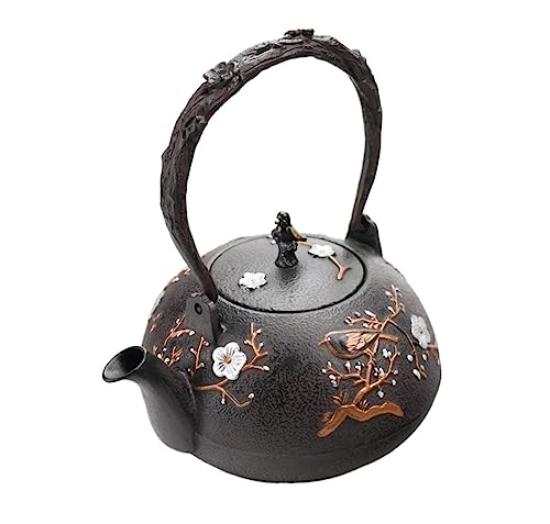 Théière japonaise en fonte émaillée avec passoire inox, le cadeau idéal pour amateurs de thé