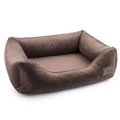 BOUTIQUE ZOO Exclusive Hundebett | Hundeliege, Hundekörbchen mit Kissen | Hundesofa für kleine, mittlere und große Hunde – Bild 3