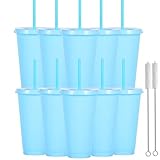 Yisituo 710ml Reusable Plastic Cups, 10 Pack Cold Cups with Lid and Straw, Tumblers Travel Mugs for Adults and Madam Party and Beach, Pool Gatherings (10, Light Blue)