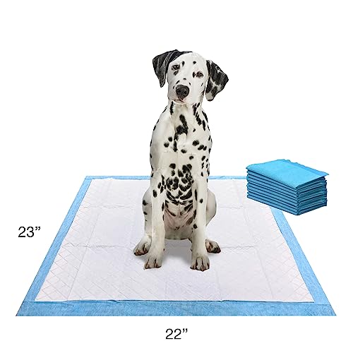 Four Paws Wee-Wee Almofadas Perfumadas para Filhotes com Grama Perfumada com 10 Unidades