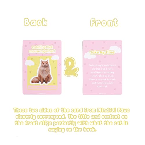 Image of 52 Cat-Themed Affirmation Cards Against Anxiety with Wooden Display Stand - Affirmation Cards for Women - Positive Affirmations Cards for Anxiety Relief, Stress Relief, and Self-Care