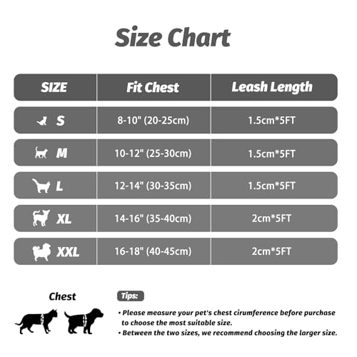 Image of FAYOGOO Cat Harness and Leash Set | Upgrade Step-in Escape Proof Harness | Lightweight Soft Vest, No-Choke Design for Walking, Travel, Camping (Gray)