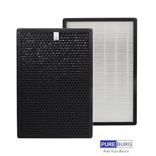 PUREBURG Replacement Filter Compatible with QooXoo QXPure9 Air Purifier, H13 HEPA Activated Carbon 2-in-1