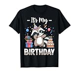 It's My Birthday Raccoon Cake Party Balloon Gift