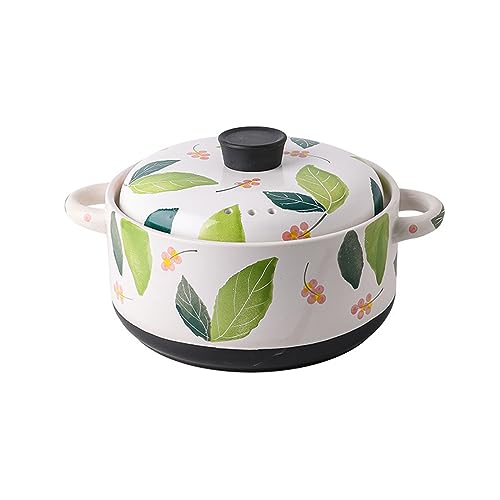 Cocotte à gaz domestique résistante aux hautes températures cuiseur vapeur 4L