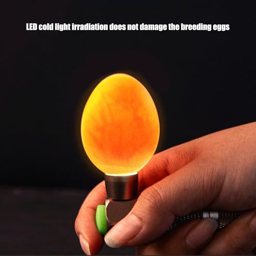 Herramienta de vela de huevos de pájaro LED para evitar fallas de eclosión 7