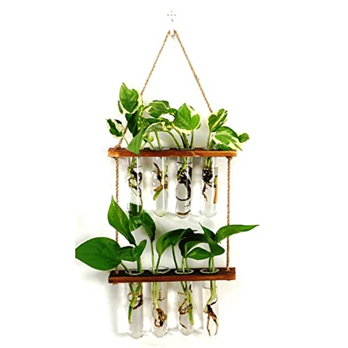 Mur En Bois Vase Mural 2 étages Avec 8 Tubes - Support Bois, Verre, Pour Plantes Intérieur, Déco Maison Plantes Intérieures Mur En Bois Vase Mural 2 étages Avec 8 Tubes - Support Bois, Verre, Pour Plantes Intérieur, Déco Maison Plantes Intérieures