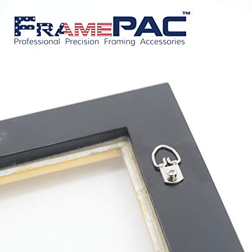 FramePac D Ring Picture Hangers with Screws - 100 Pack - Bulk D Rings - Pro Quality Hangers - Picture Hanging Solutions