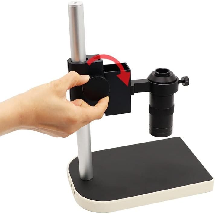 國司華子、「咲くや猫～虹の巻～」、希少な画集より、 新品高級額装付