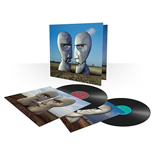 The Division Bell [VINYL]