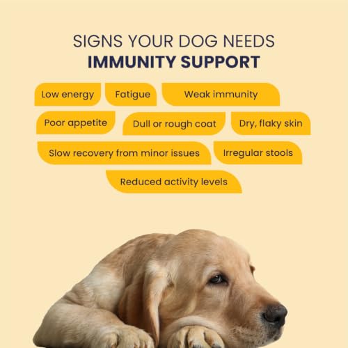 Image of FUR BALL STORY Supertonic Multivitamin Syrup for Dogs & Cats | Pet Immunity & Energy Booster Supplement | Supports Liver, Kidney & Overall Health | with Moringa, Ashwagandha & 10+ Superfoods 200ml