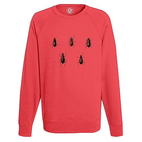 Sweat Homme Insectes au style minimaliste et illustration biologie