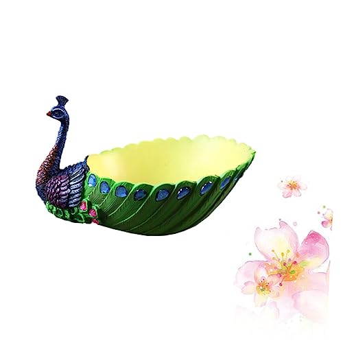 Pots de fleurs succulentes paon pour rompre la monotonie d'une décoration intérieure - 8