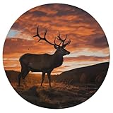 Composé de mousse à mémoire de forme de haute qualité, ce coussin s'adapte à la forme de votre corps, soulageant les points de pression.