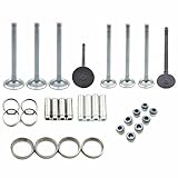 WSbaodan Engine Valve Kit Compatible with Kubota V1702 Engine Valve Guides, Intake Valves, Exhaust Valves...