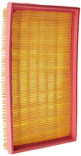 Filtro de Ar FRAM - CA9290