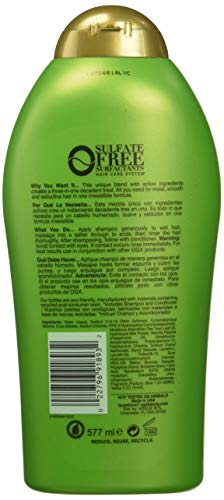 (Ogx) Organix Shampoo Tea Tree Mint 19.5Oz Bonus Hydrating #TOP1