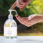 Natures Formulae Assainisseur à la main avec Aloe Vera et huile essentielle de menthe poivrée 355mL