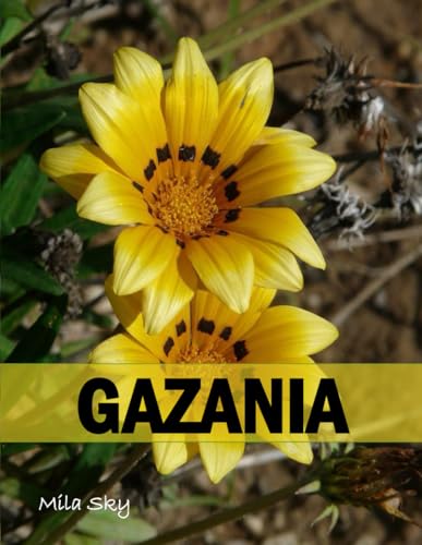 GAZANIA: A Stunning Coffee Table Collection of Flower Photography