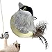 Genérico Juguete Interactivo De Pájaro para Gatos Imagen de Genérico Juguete Interactivo De Pájaro para Gatos