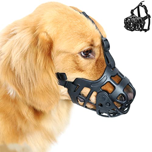 Top 10 Best Muzzle For Golden Retriever Reviews & Buying Guide Katynel