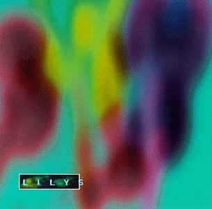 Eccsame the Photon Band [Audio CD] Lilys