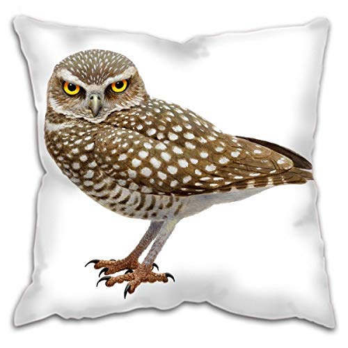 Julian Friers Cushion Cover With Burrowing Owl Artwork By - 42Cm X 42Cm
