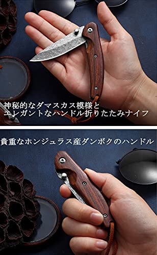 Dcenrun フォールディングナイフ フィッシングナイフ 【Garuda・ガルーダ】 67層ダマスカス折りたたみナイフ 高級手作り専用革製鞘付き 4枚目