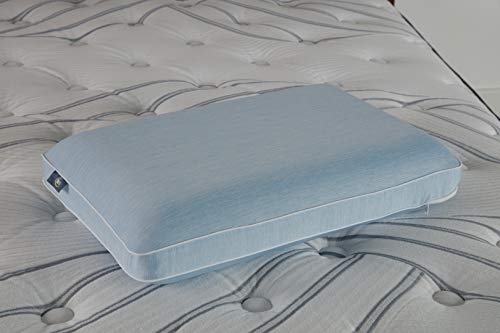 Serta Perfect Sleeper Graphite Infused Memory Foam Pillow, Oversized Traditional, 1 Count (Pack Of 1),Grey #TOP5
