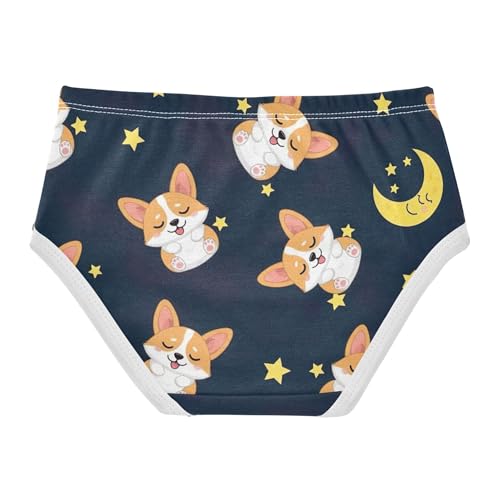 Cute Cartoon Corgi Dogs Starry Panties for Girl Toddlers Underwear Floral Cotton Colorful Kids Undies Briefs 2t2