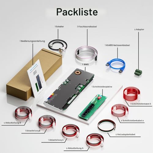 JKBMS Wechselrichter BMS 8S-16S 24V-48V 100A - V19 Home Energiespeicher BMS mit UART für neues Display, 1A Active Balance, Integriertes Bluetooth, RS485 & CAN, für Solaranlage (JK-PB1A16S10P V19)